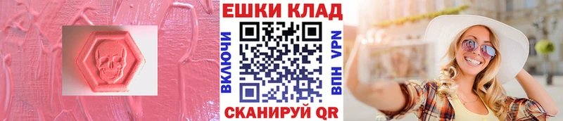 Ecstasy Philipp Plein  закладка  Бологое 