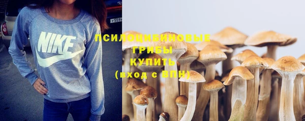 крисы Балабаново