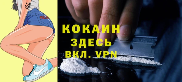 первитин Богородицк