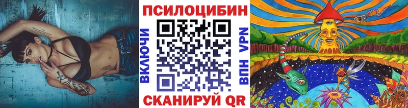 где купить наркоту  KRAKEN вход  Псилоцибиновые грибы ЛСД  Бологое 
